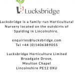 Lucksbridge