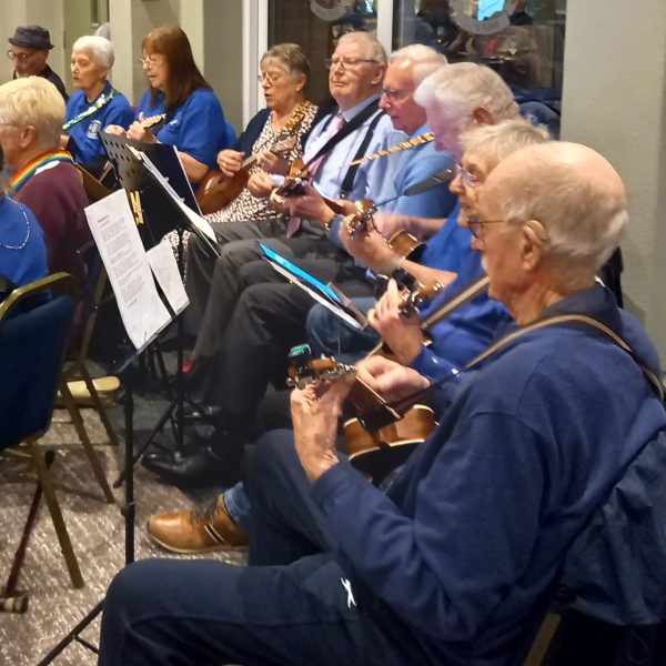 Ukulele cropped
