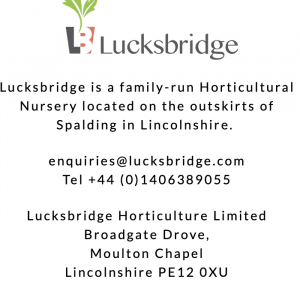 Lucksbridge